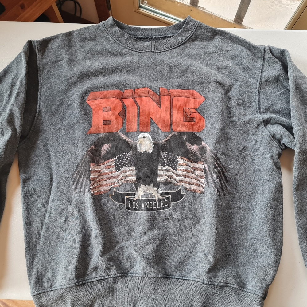 Anine Bing sweatshirt